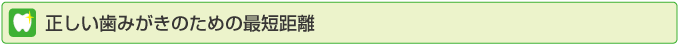正しい歯みがきのための最短距離